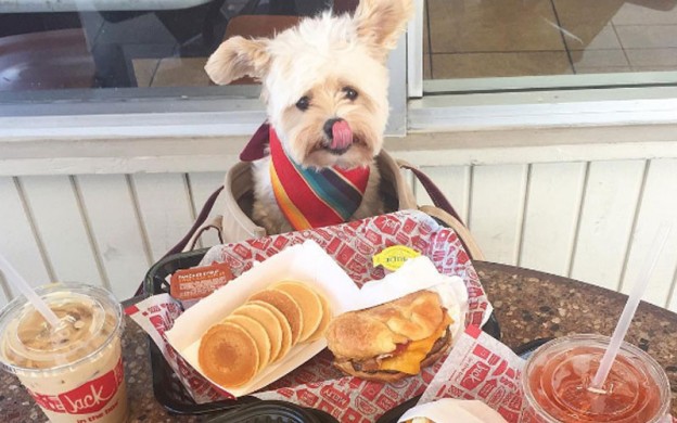 Popeye-on-a-food-date