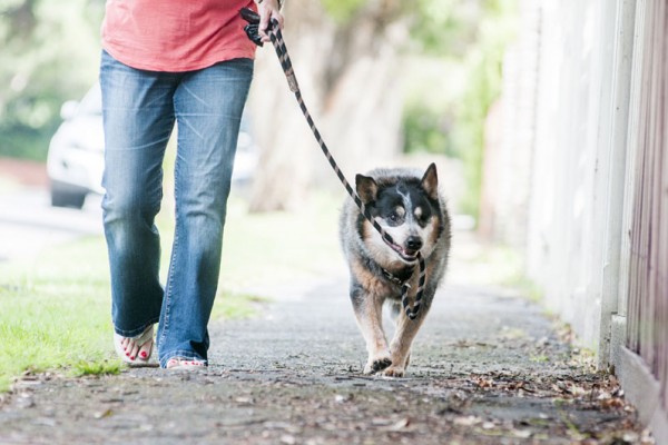 Dog-walking