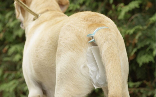 Hands free dog poop collector outlet
