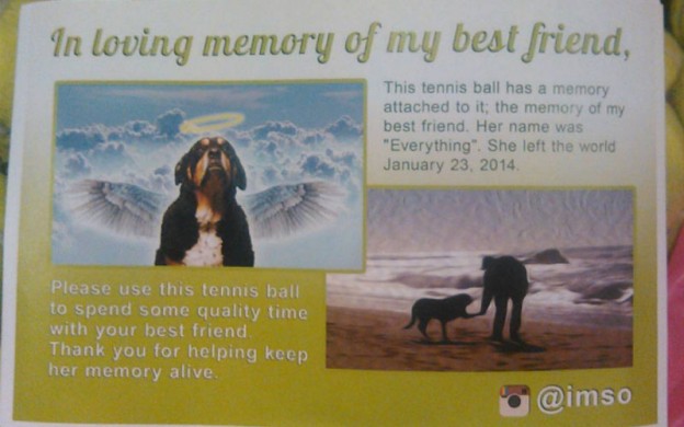 Tennis-ball