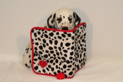 National Puppy Day 2017