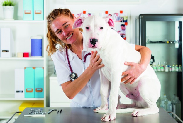 Pet Insurance: What to consider