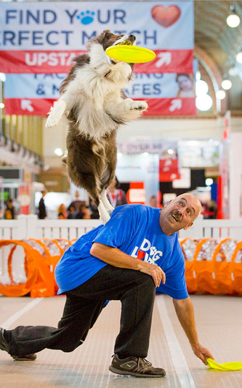 DogsLife has FIVE double passes to the Brisbane Dog Lovers Show to give away!