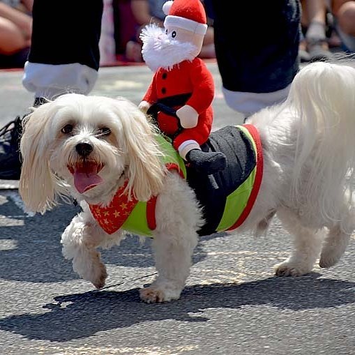 The Christmas Parade: a poem by Jeanie Axton