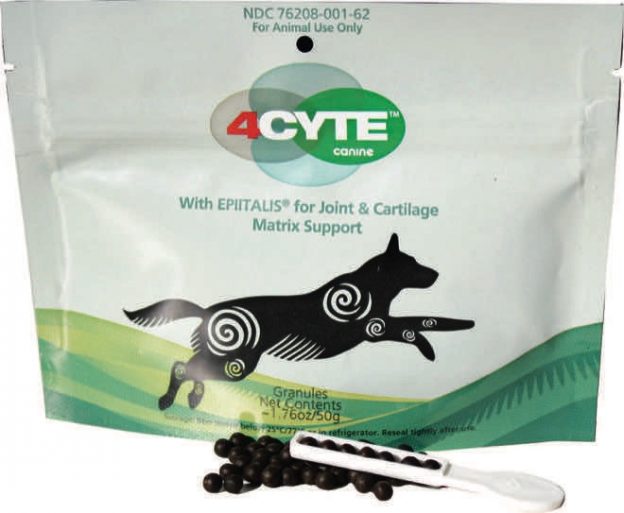 DOGSLife has FOUR 100g pouches of 4CYTE Canine to give away!