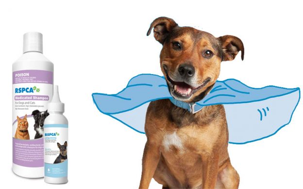 RSPCA Animal Health Products are giving away 2 PRIZE PACKS!