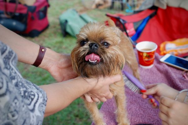 grooming product