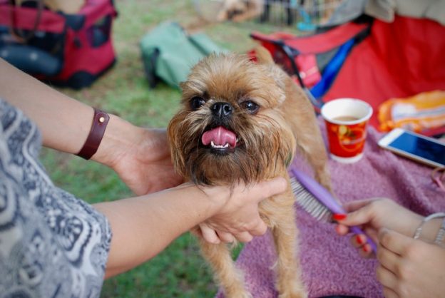 grooming product