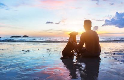 dog-friendly beach