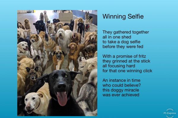 Winning Selfie A Poem By Jeanie Axton