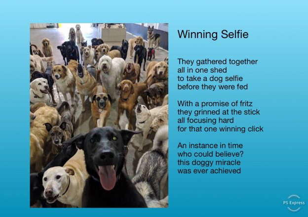 Winning Selfie A Poem By Jeanie Axton
