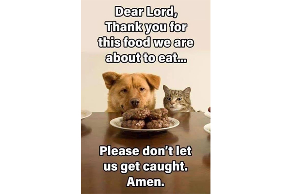 Dogs Prayer